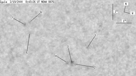 No observation available