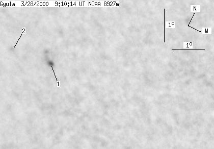 No observation available