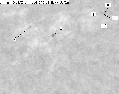 No observation available