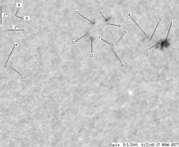 No observation available