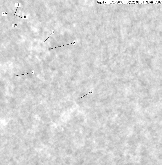 No observation available