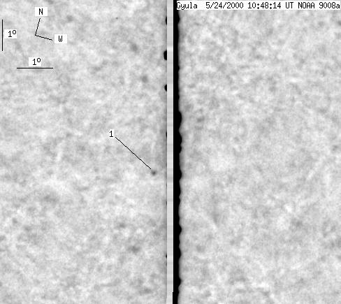 No observation available