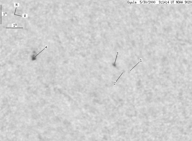 No observation available