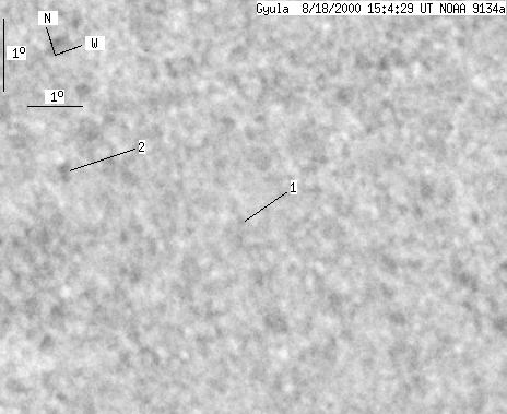 No observation available