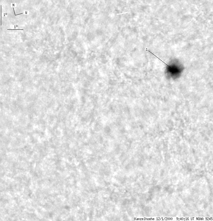 No observation available