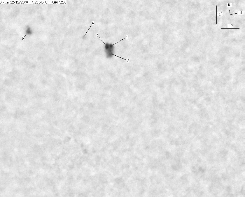 No observation available