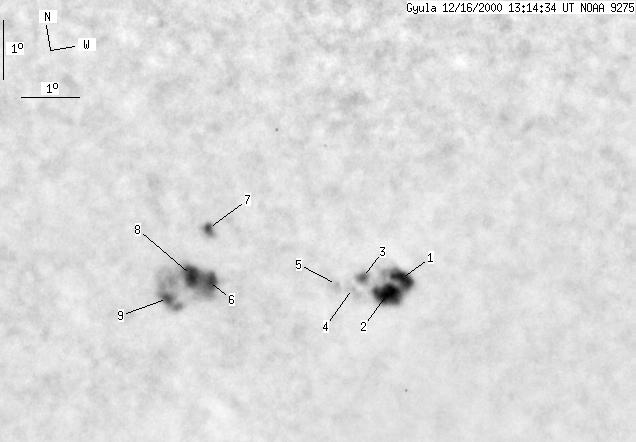 No observation available