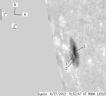 No observation available