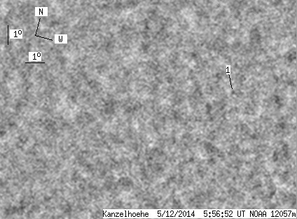 No observation available