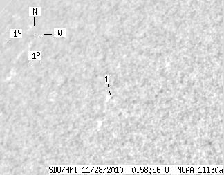 No observation available