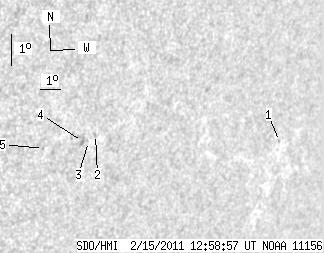 No observation available