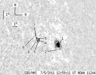 No observation available