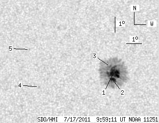 No observation available