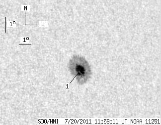 No observation available