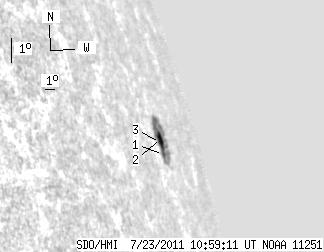 No observation available