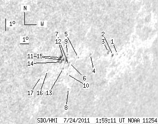 No observation available