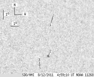 No observation available