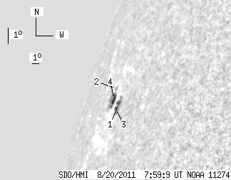 No observation available