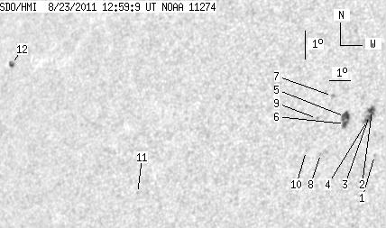 No observation available
