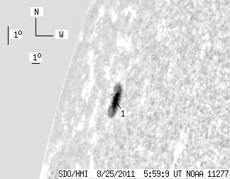 No observation available