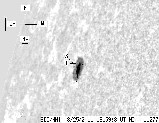 No observation available