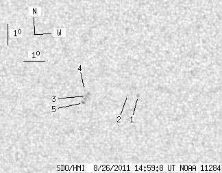 No observation available