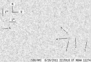 No observation available