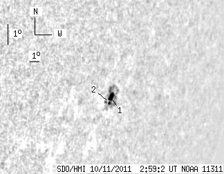 No observation available
