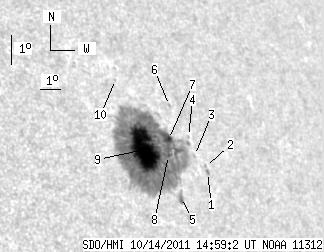 No observation available