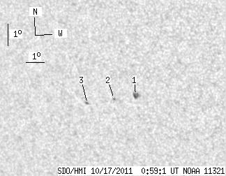 No observation available