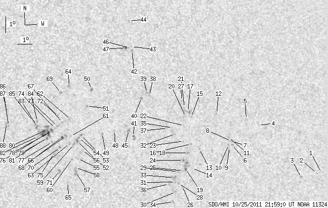 No observation available