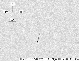 No observation available