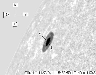 No observation available