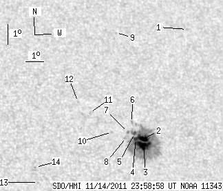 No observation available