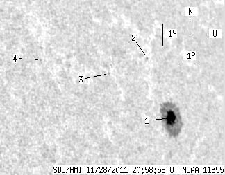 No observation available