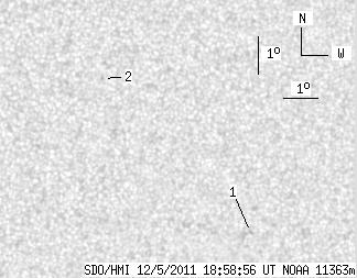 No observation available