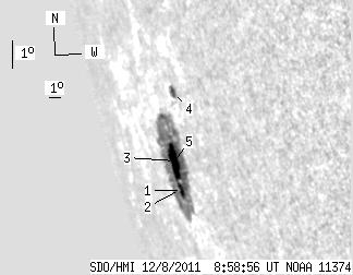 No observation available