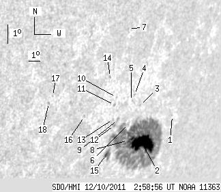 No observation available