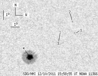 No observation available