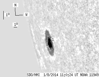 No observation available