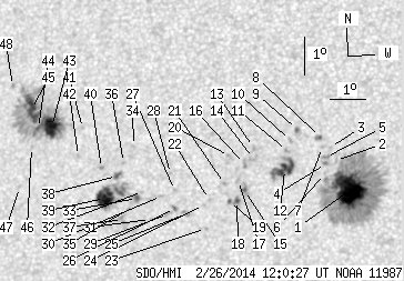 No observation available