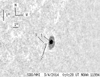 No observation available