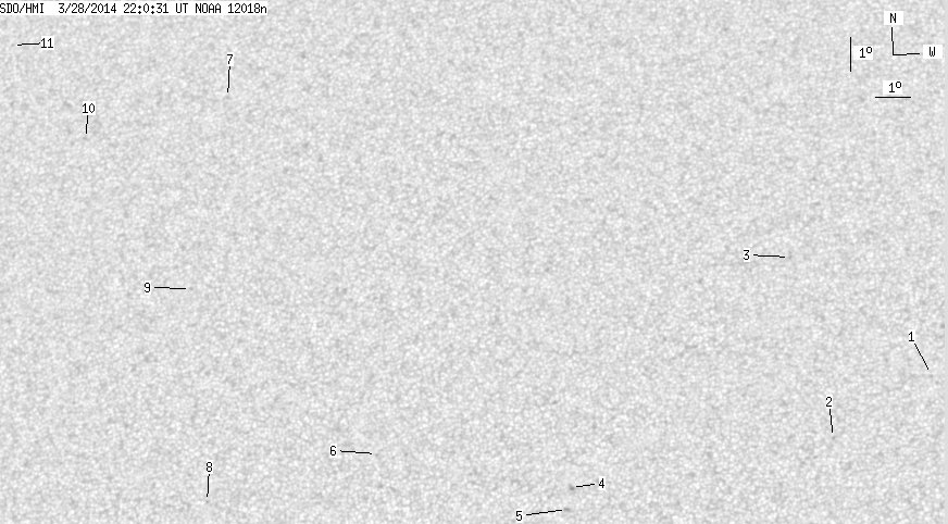 No observation available