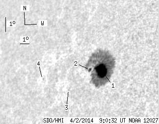 No observation available