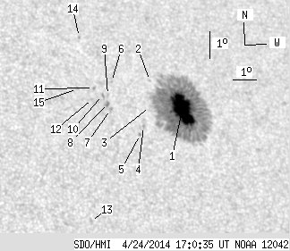 No observation available
