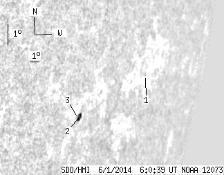 No observation available