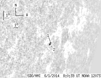 No observation available