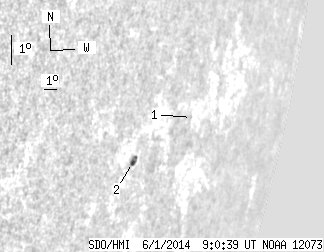 No observation available