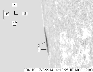 No observation available