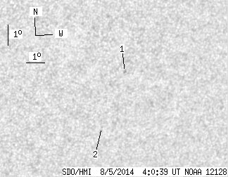 No observation available